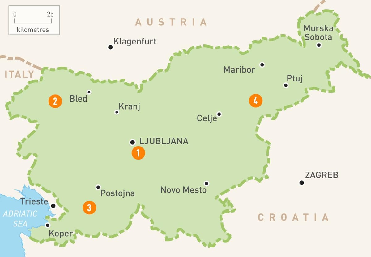Kart Sloveniya regionların